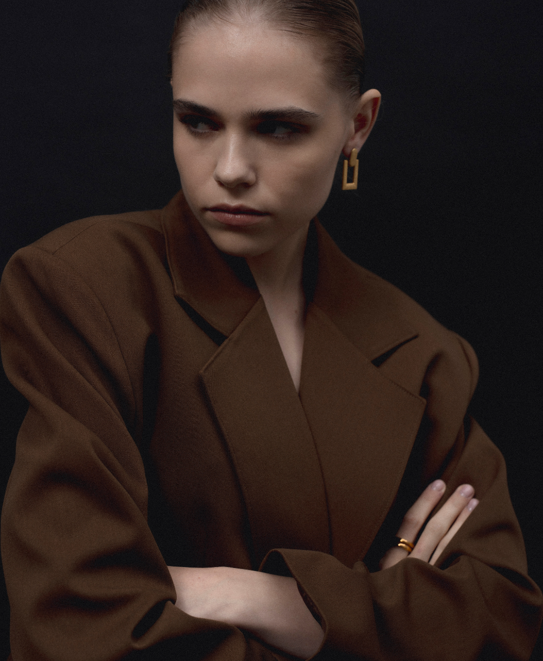 Lunette Earrings 2 Lunette Earrings